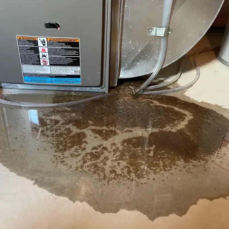 Appliance Leak Cleanup in Hope Mills, NC